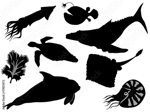 underwater life