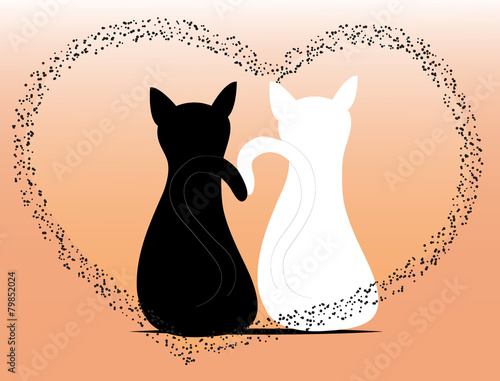 Cats in love