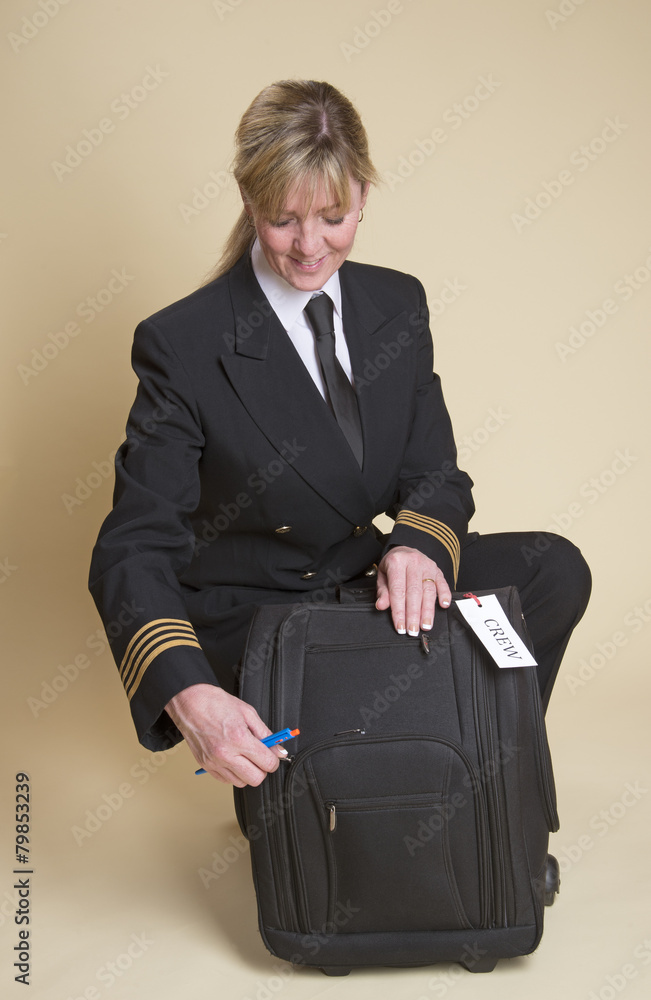 Airline pilot bag sale