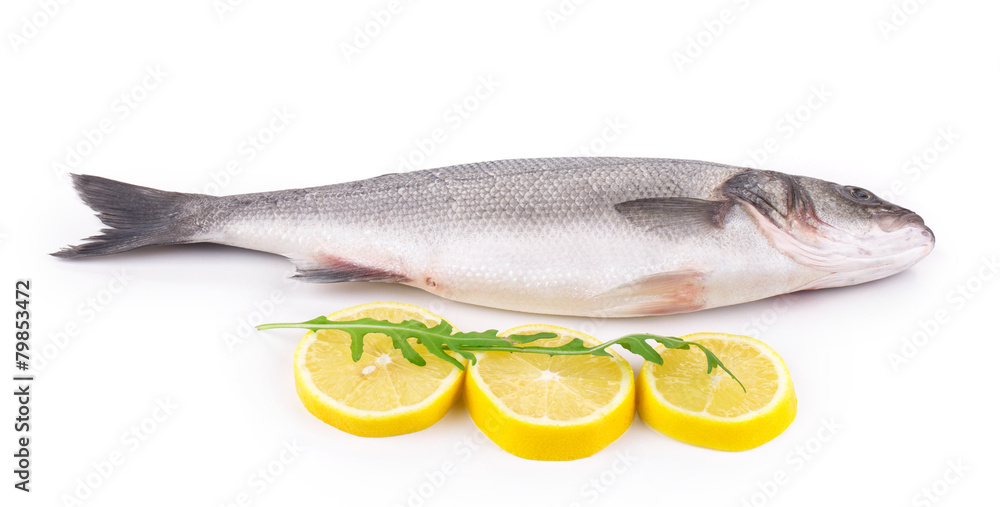 Fresh seabass fish