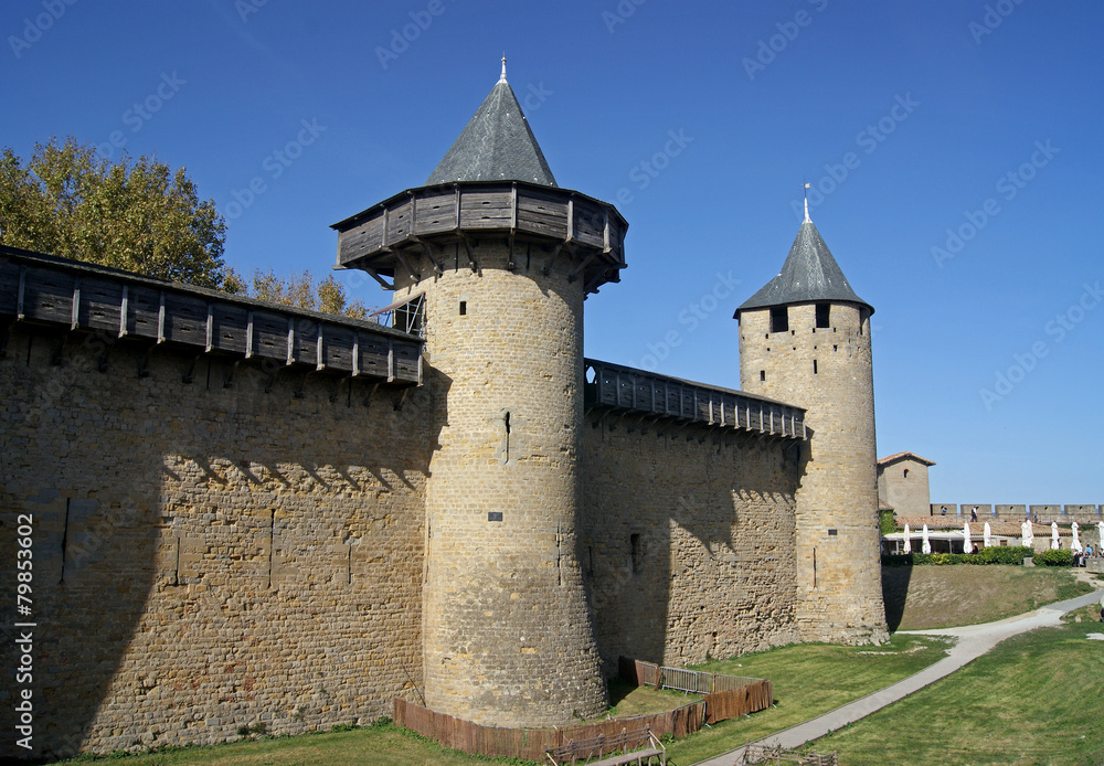 cité de carcassonne (3)