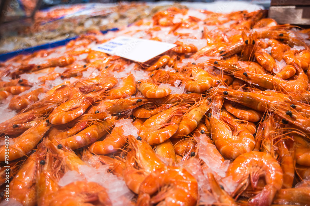 Fresh Shrimps Fresh Shrimps