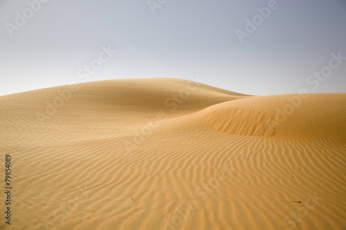 Sand dunes, weaves of dust in a beautiful desert © Belphnaque