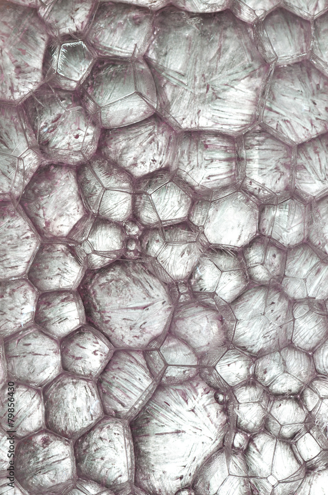 Fototapeta premium Ice