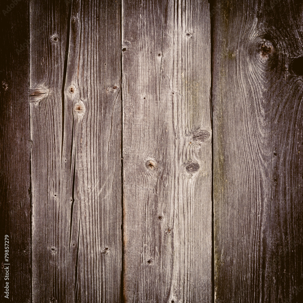 Fototapeta premium The old wood texture with natural patterns