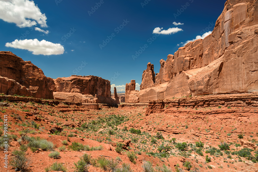 Fototapeta premium Arches National Park, Moab, Utah, USA