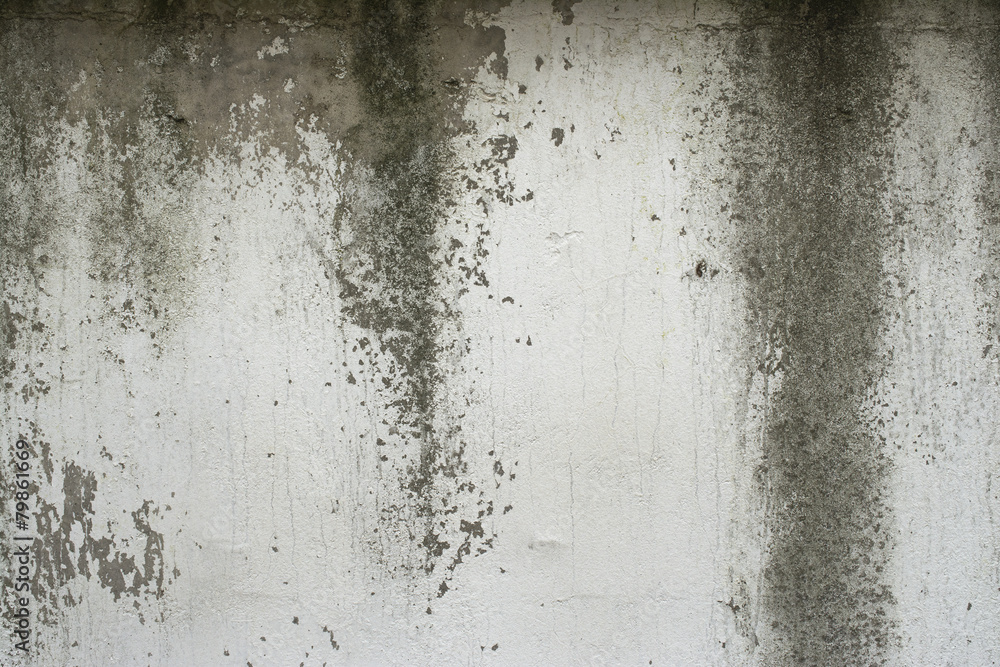 Fototapeta premium Old painted concrete