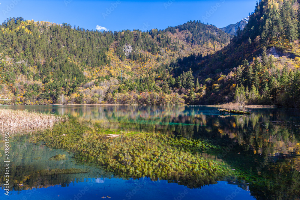 Magnificent view in Jiuzhaigou national park