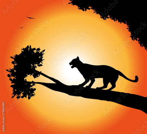 silhouette di pantera al tramonto