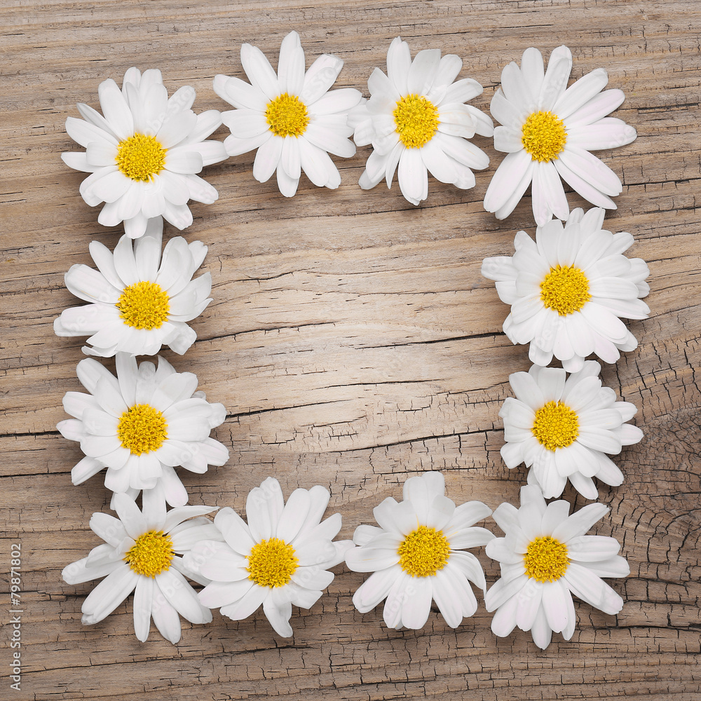 Fototapeta premium Chamomile flowers border on wooden background