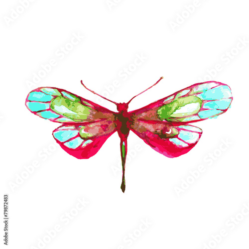 butterfly,watercolor design © aboard