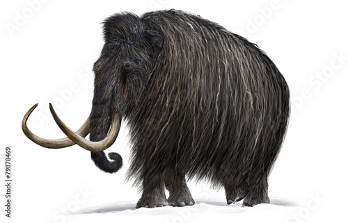 Mammoth photo