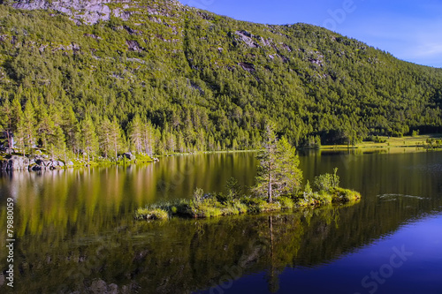 lake with an island with trees  Norway