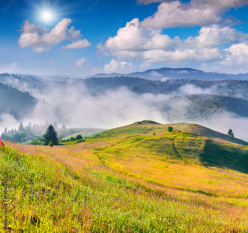 Obraz premium Colorful summer morning in the Carpathian mountain village.