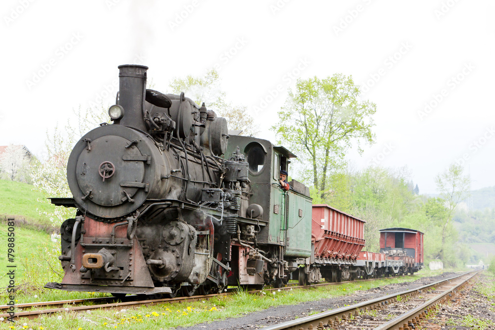 narrow gauge railway, Banovici, Bosnia and Hercegovina narrow gauge railway, Banovici, Bosnia and Hercegovina