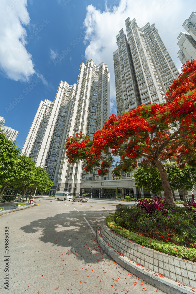 Fototapeta premium Residental buildings in Hong Kong