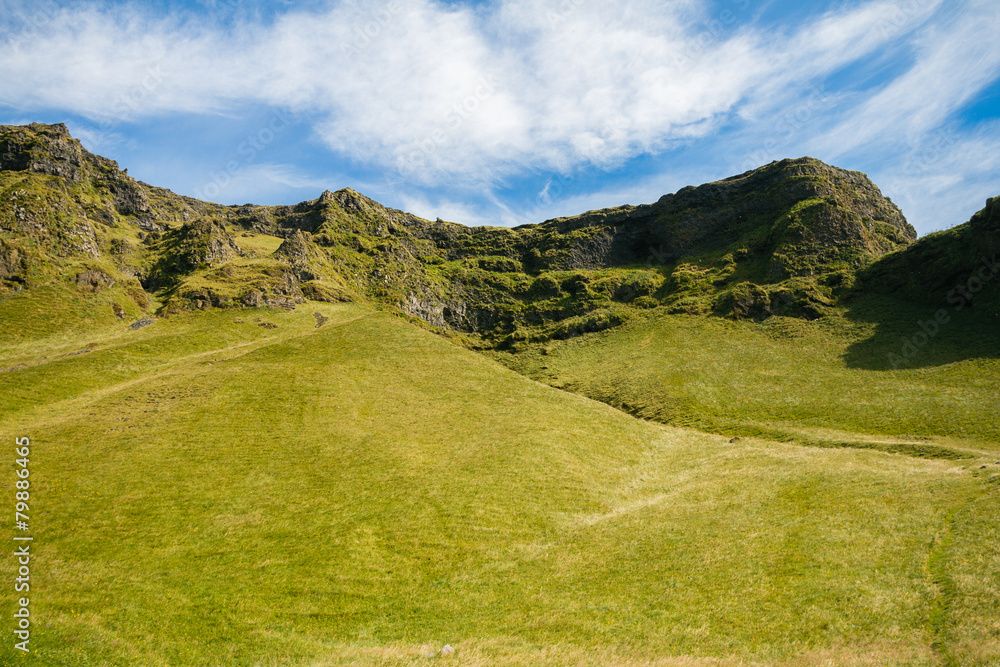Green landscape of Iceland