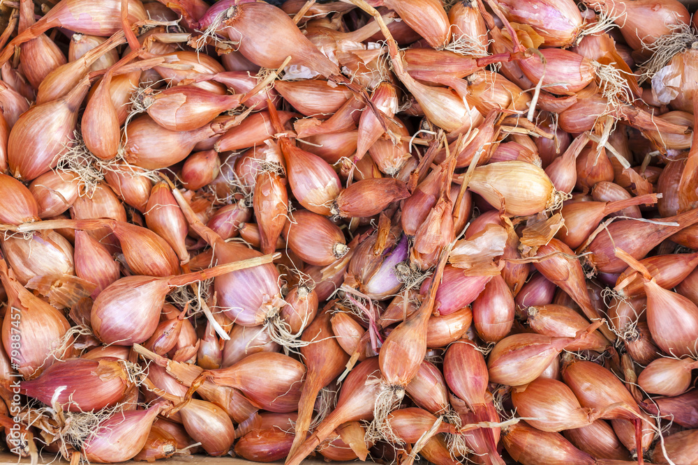 shallots, market in Forcalquier, Provence, France
