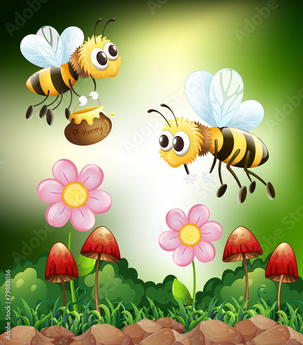 Bee and honey