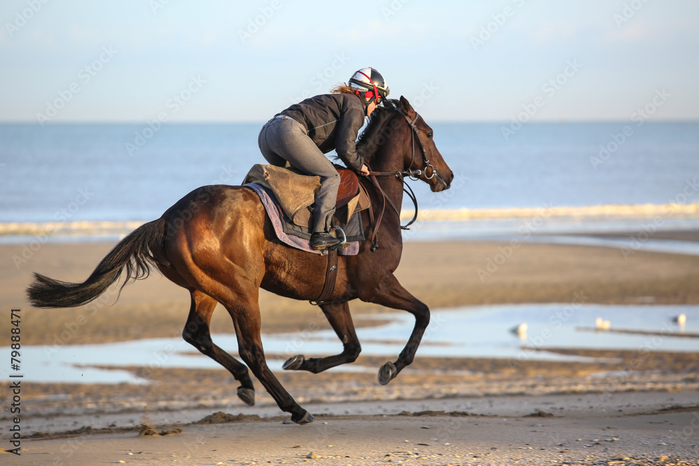 Normandie Normandie