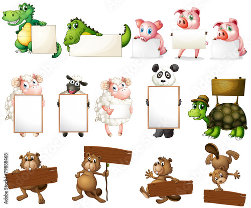 Animals and signs