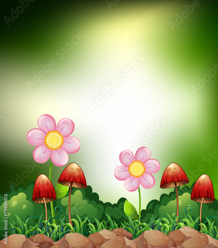 Mushroom and flowers