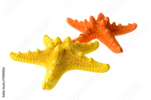 Two starfish photo
