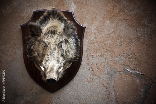 Boar Head