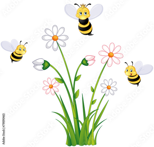 umschwärmte Bienenkönigin