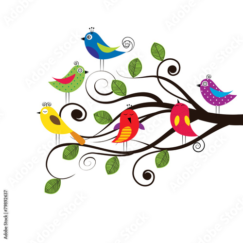 Photography Funny birds