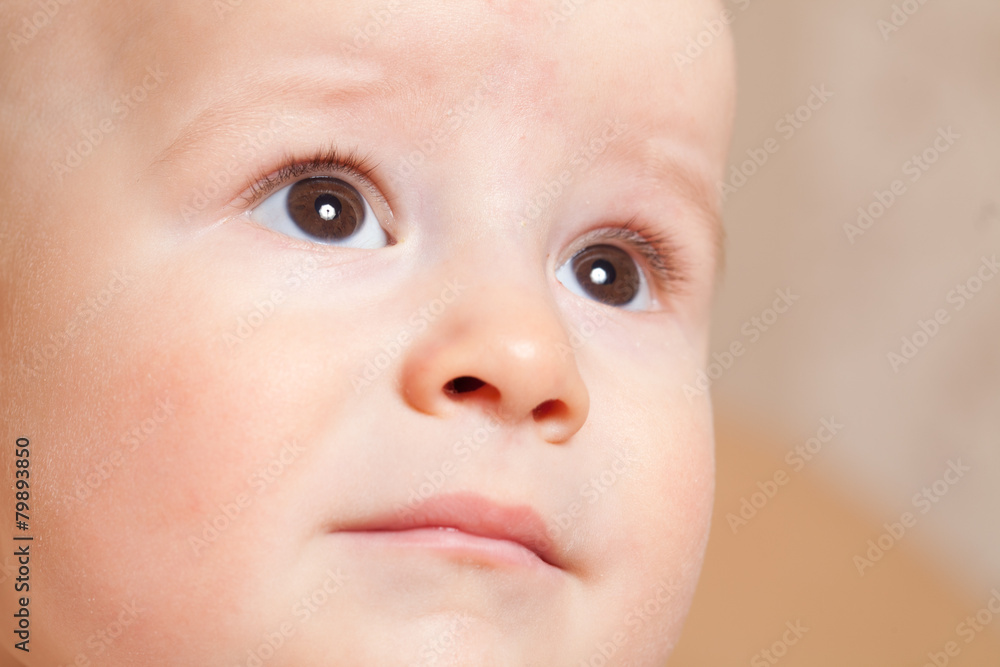 portrait of the baby on a beige background portrait of the baby on a beige background