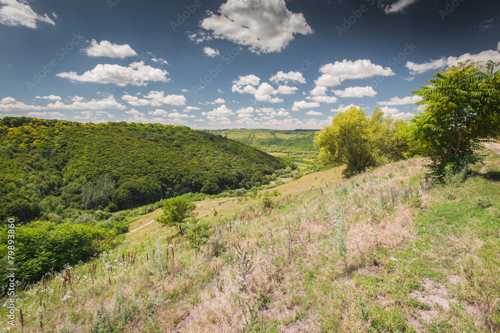 Obraz premium Carpathian Ukraine