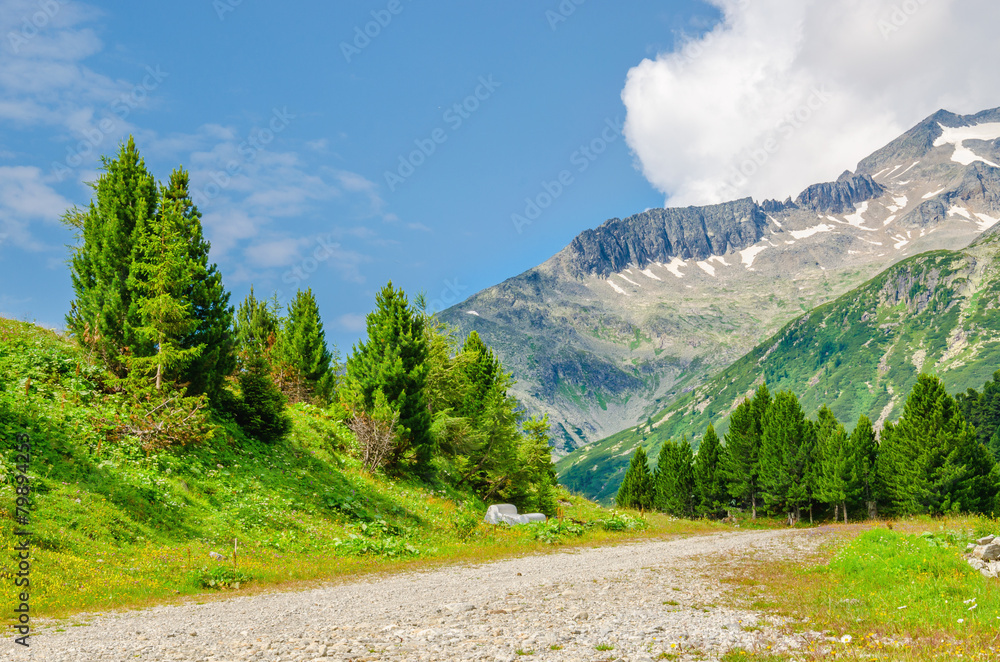 Alpine landscape, green slopes and high mountain peaks, Austria,