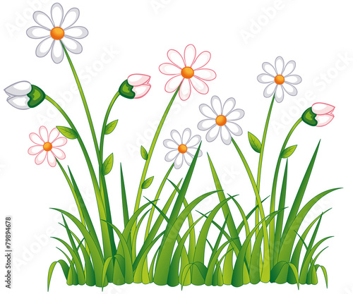großes Blumenfeld im Frühling