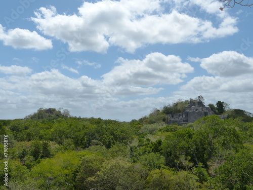 Calakmul  Maya Ruinas en Mexico 