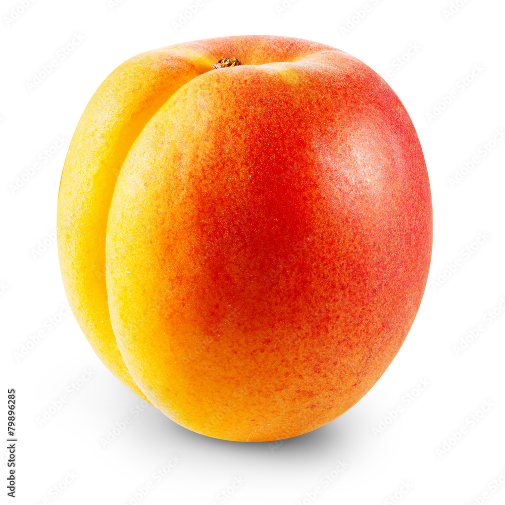 Apricot Apricot