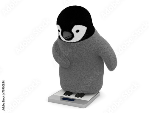 Obraz na płótnie ペンギン