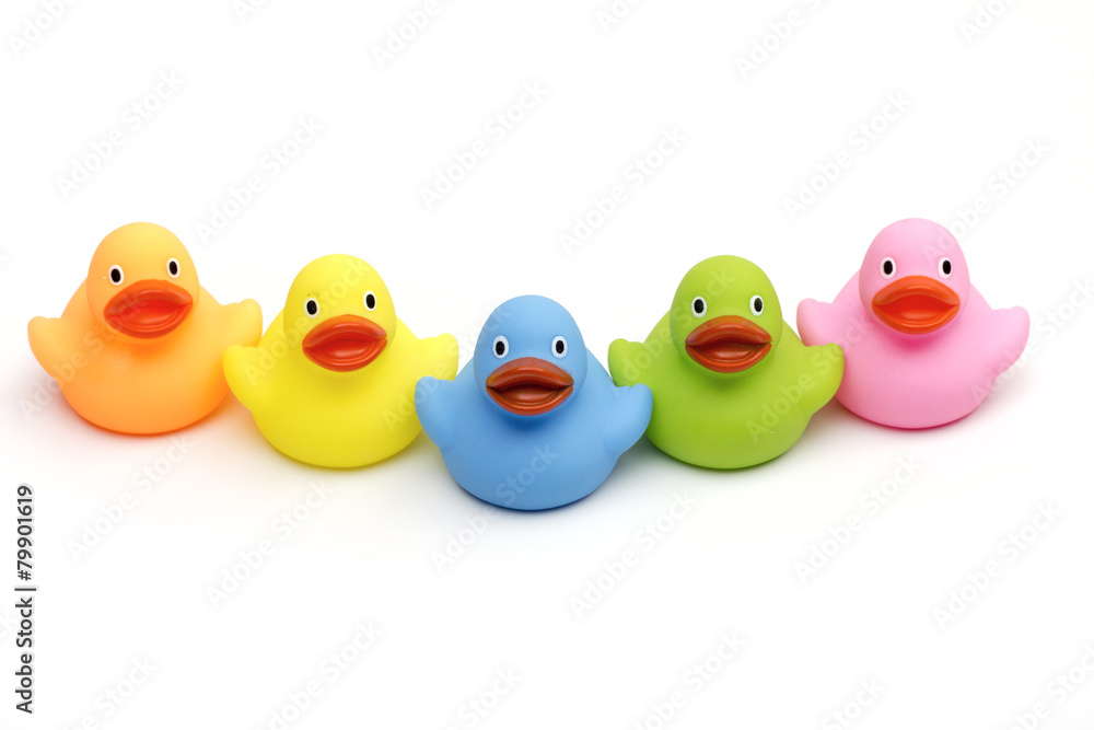 ducklings on the white background ducklings on the white background