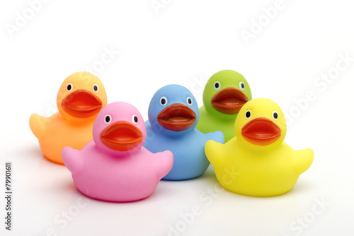 ducklings on the white background