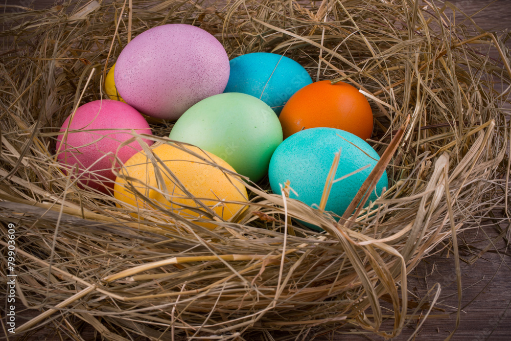 easter nest with colored eggs easter nest with colored eggs