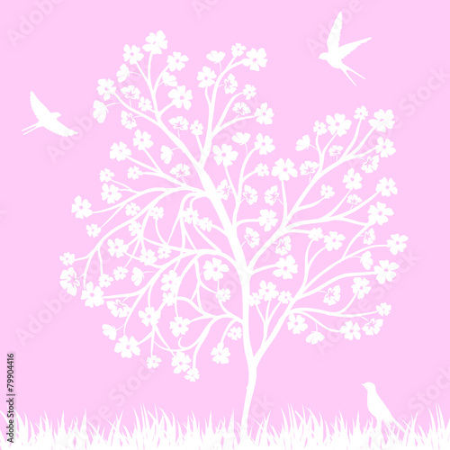 blooming tree and birds