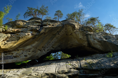 Rock in the forest photo