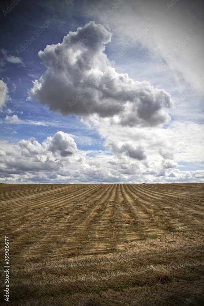 Normandia, Campagna