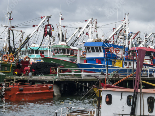 Fischfangflotte photo