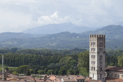 Panorama con torre, Lucca