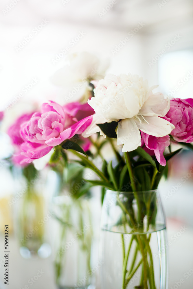 Wedding pink ranunculus flowers Wedding pink ranunculus flowers