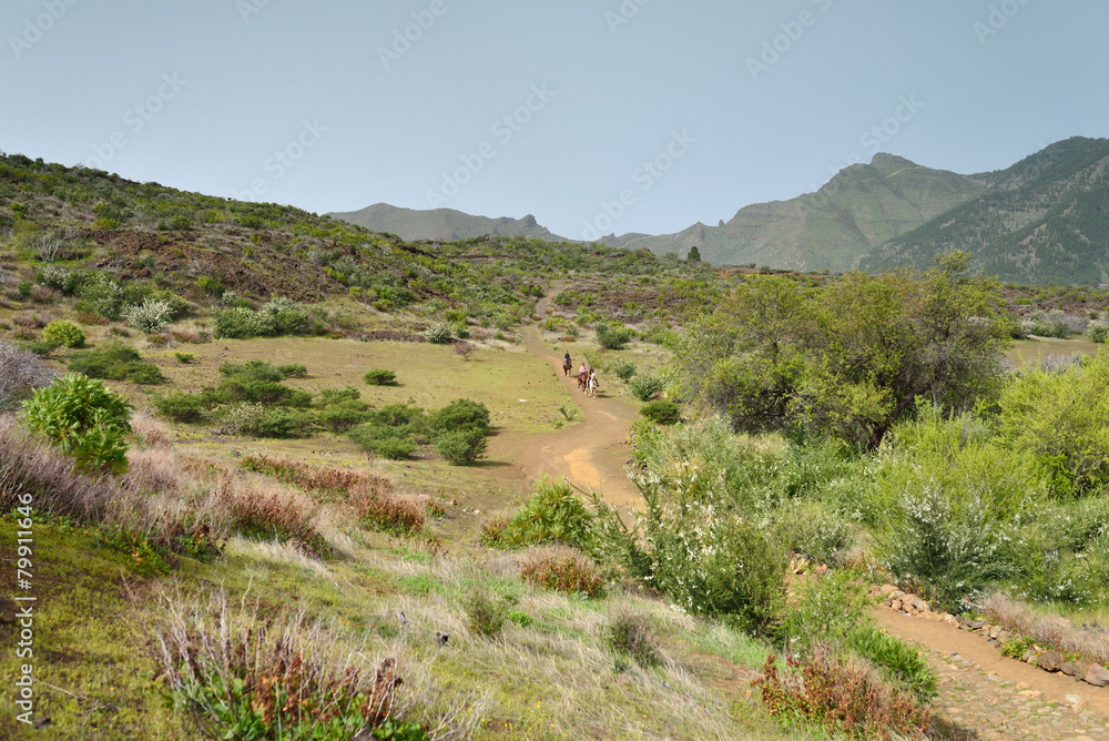 chemin de randonnée chemin de randonnée