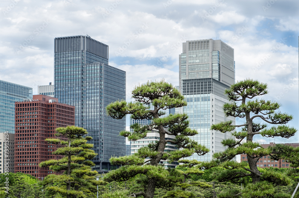 Naklejka premium Skyscrapers and japanese garden in Tokyo Japan