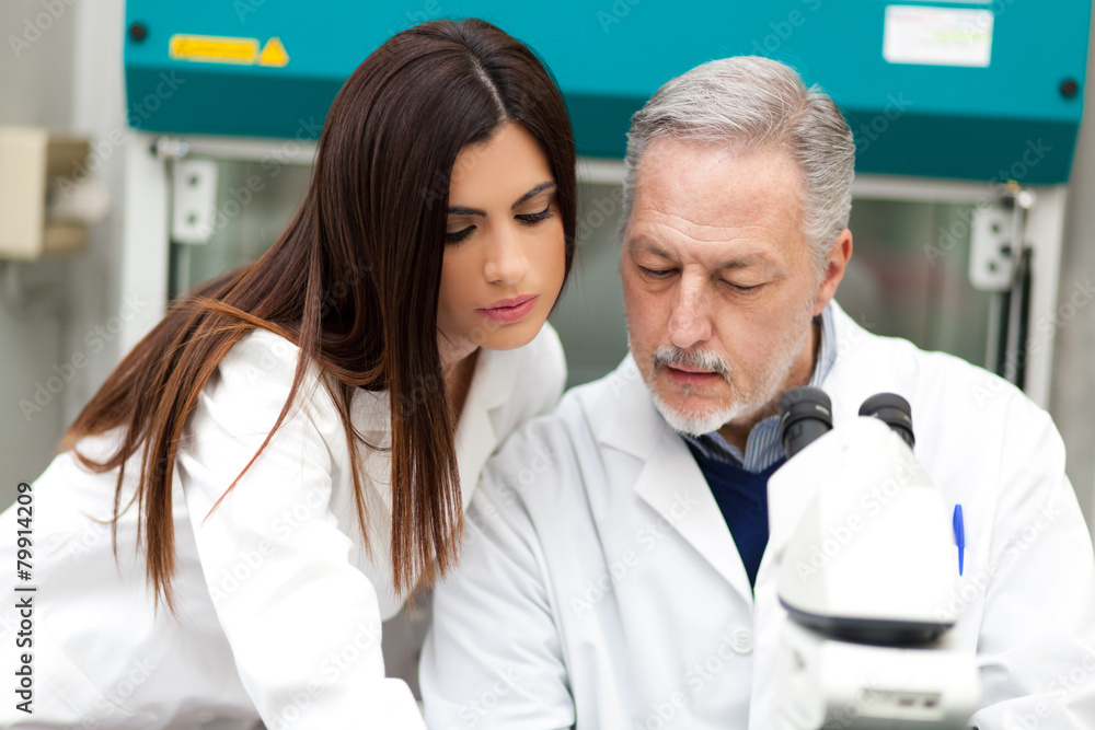 Scientists at work in a laboratory Scientists at work in a laboratory
