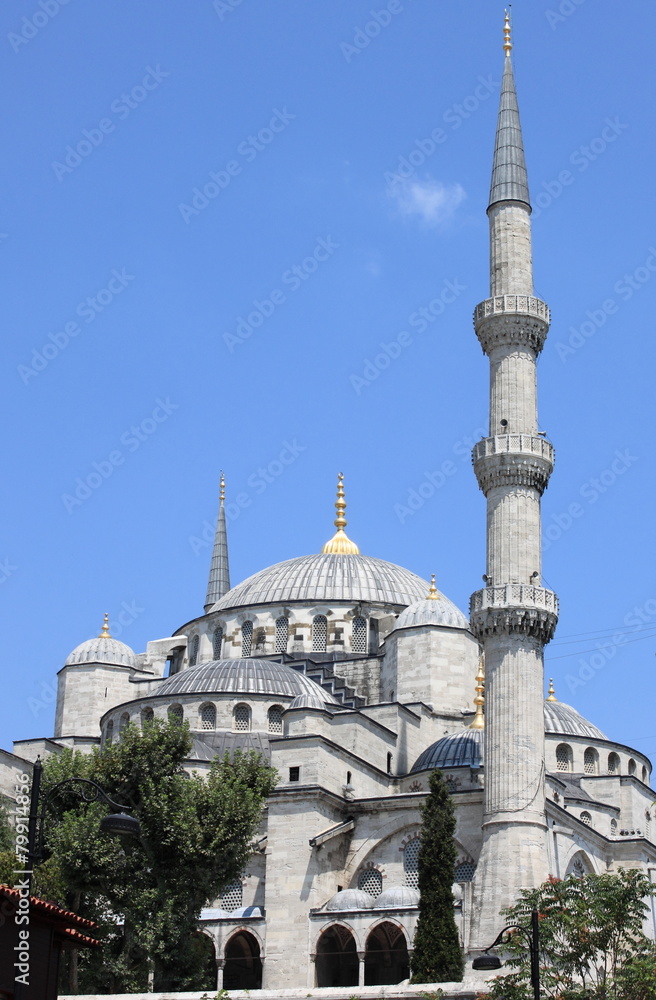 Fototapeta premium Sultan Ahmed Mosque in Istanbul, Turkey